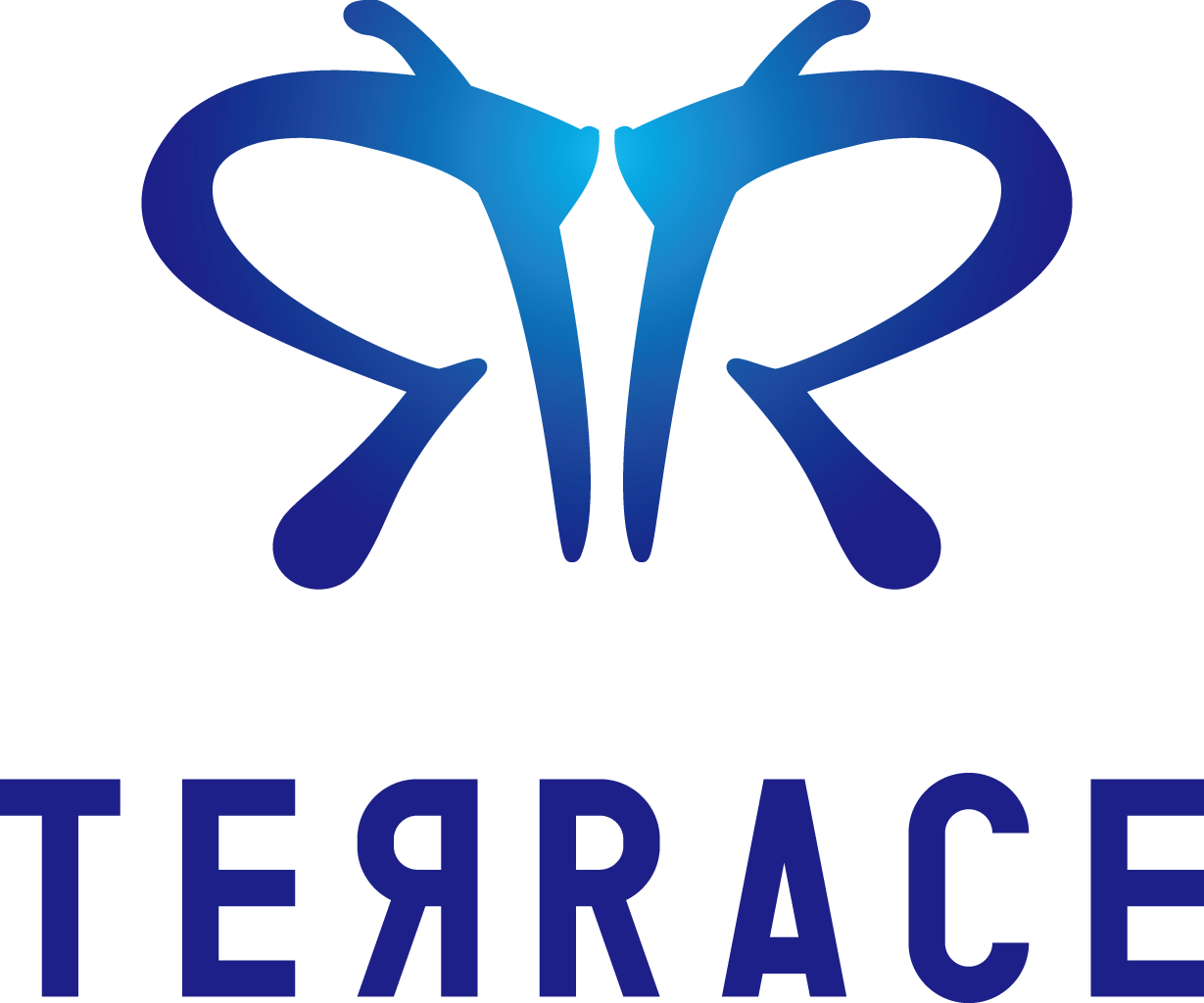 株式会社TERRACE